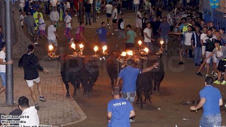 Burriana - Misericordia 2018 - Correbou Embolats - Bou Embolat